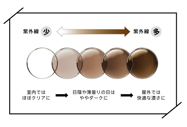 冬の日差し対策に【カラーレンズ】いかがでしょうか